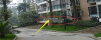 一樓的房子弊端太多？內(nèi)行人透露：有錢人都喜歡買一樓