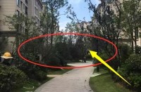 一樓到底哪里差？住進去后來聊聊感受