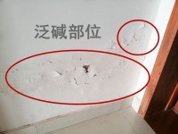 瓷磚反堿補(bǔ)救徹底解決方法？清理瓷磚的技巧？