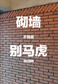 砌墻千萬別聽泥水師傅的！